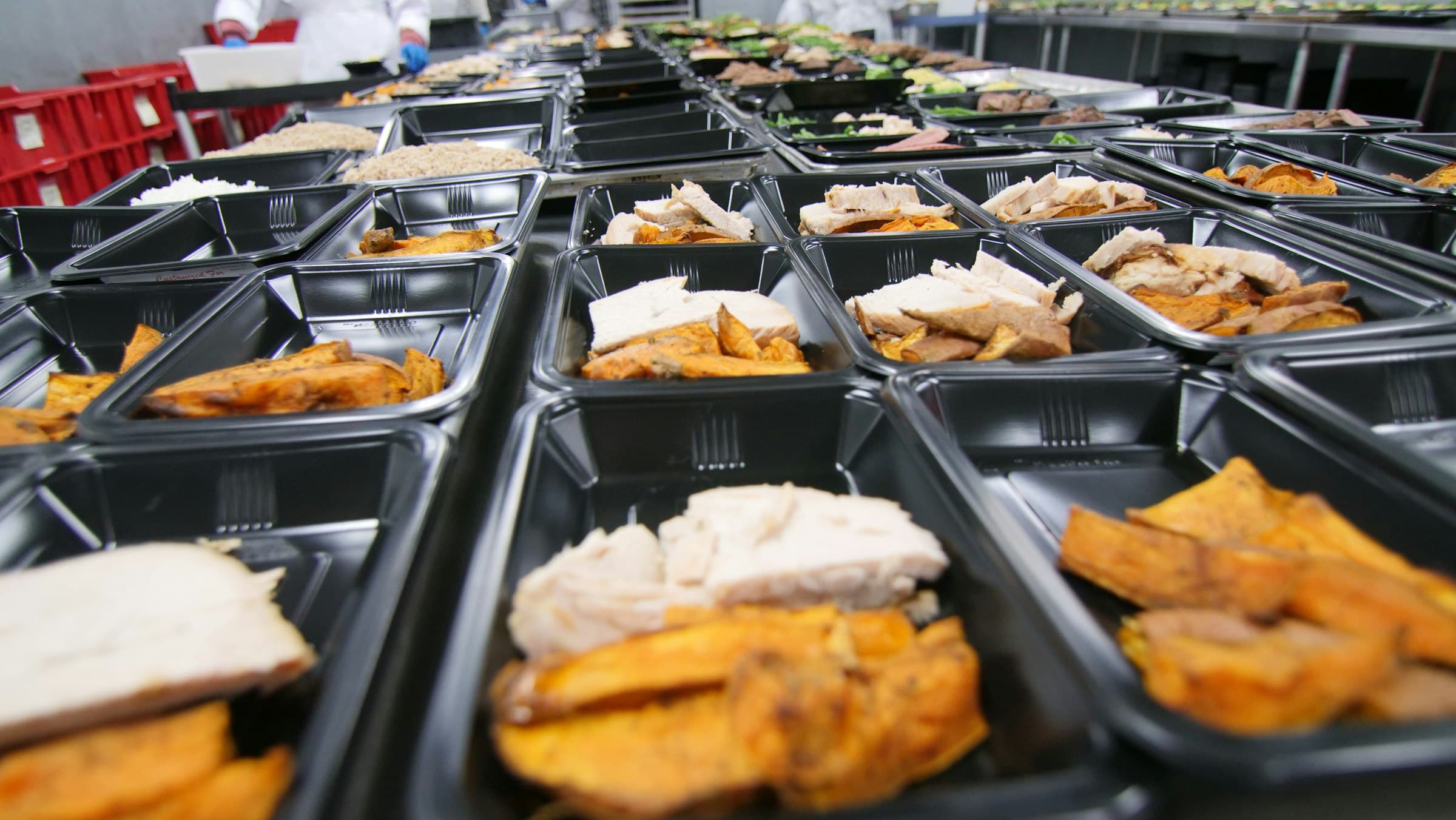 Rows of prepared meal trays on a food production line