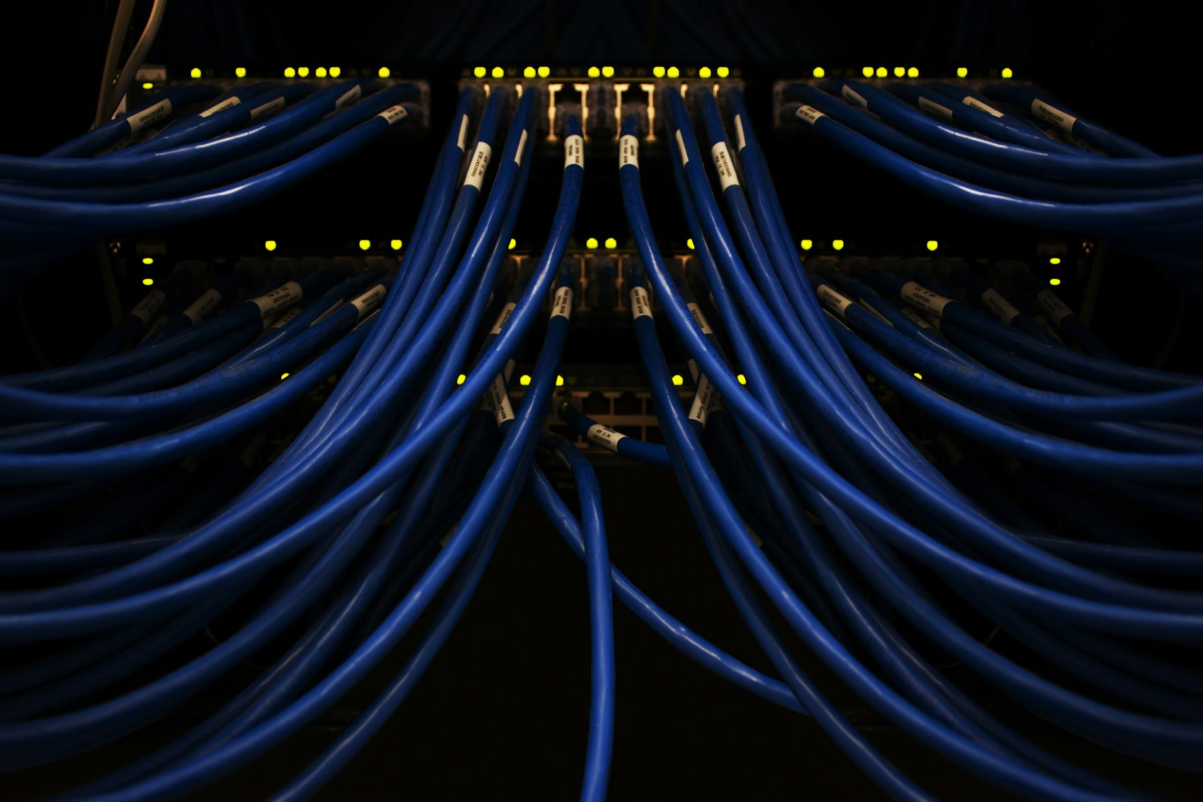Blue network cables pouring out of a patch panel in a dark server room