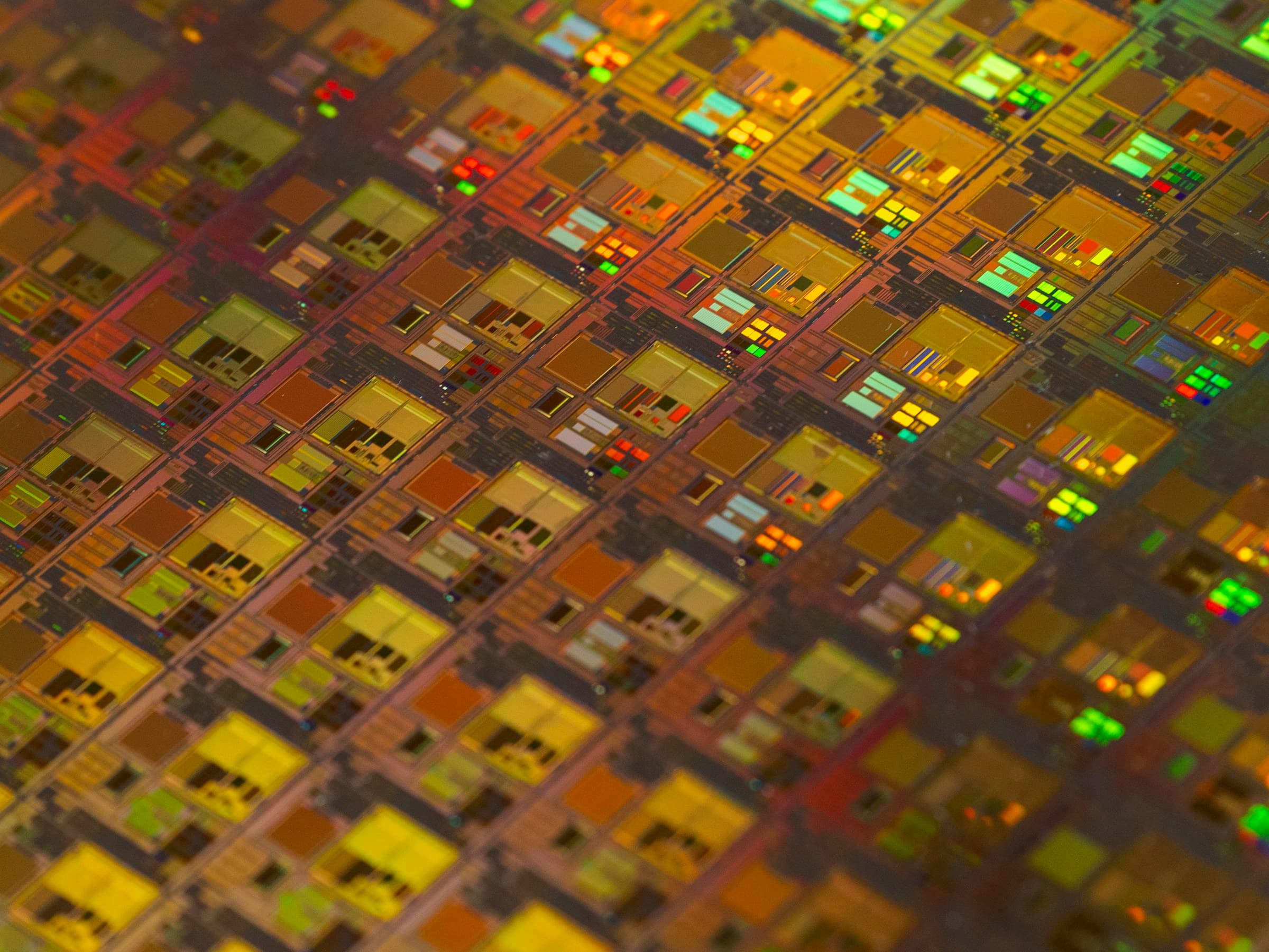 A silicon wafer photographed up close, rows of unfinished chips catching gold and green light