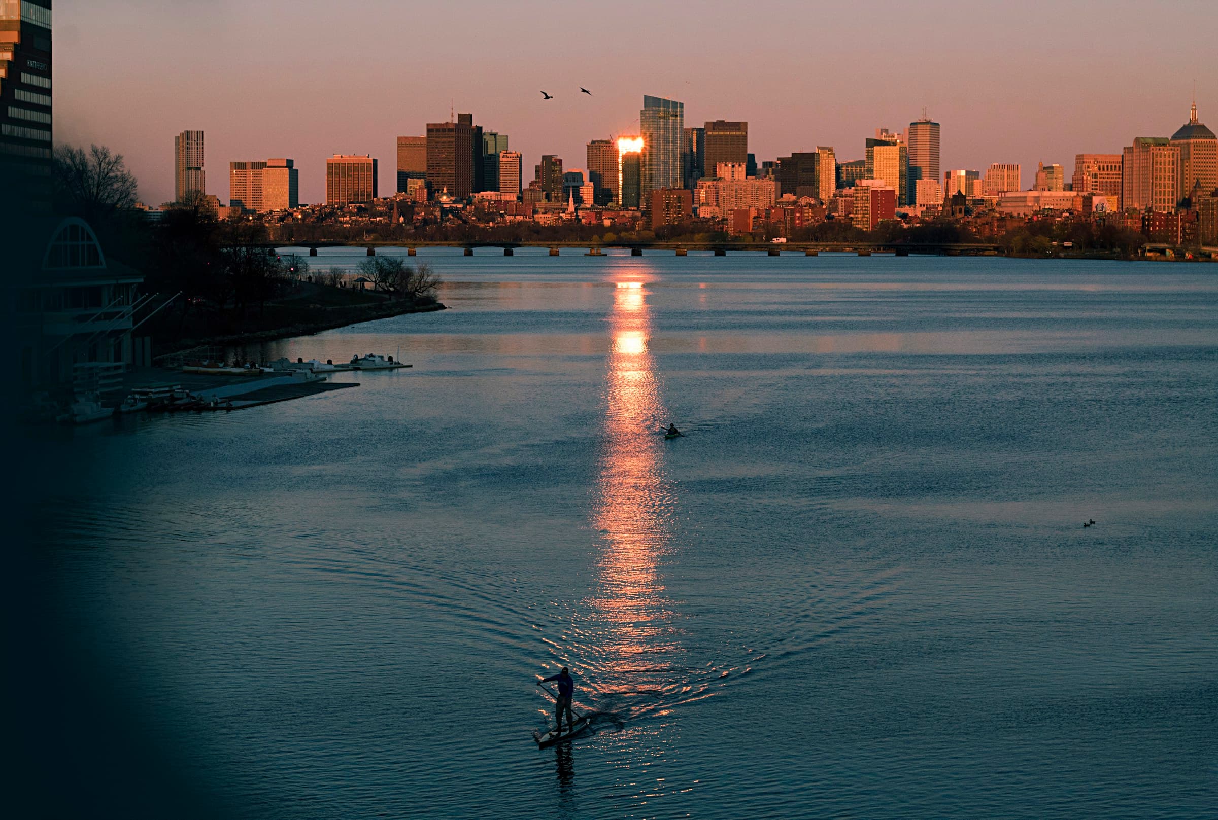 A paddleboarder on the Charles River at dawn, with the Back Bay skyline catching the first light